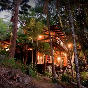  Holiday home Currumbin Rainforest Treehouse